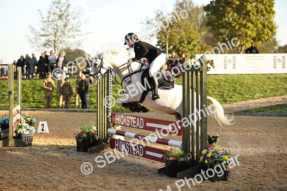 SBM_32900 - J38 - Senior 80cm Championship