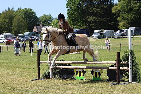 IMG_4259 - Working Hunter