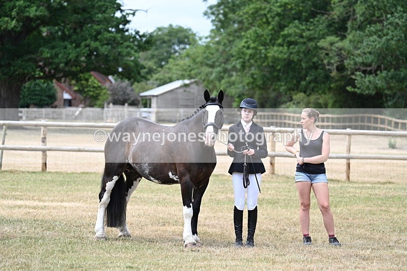 WJ7_1864 - Class 4a Prettiest Mare 14.2hh and over hand