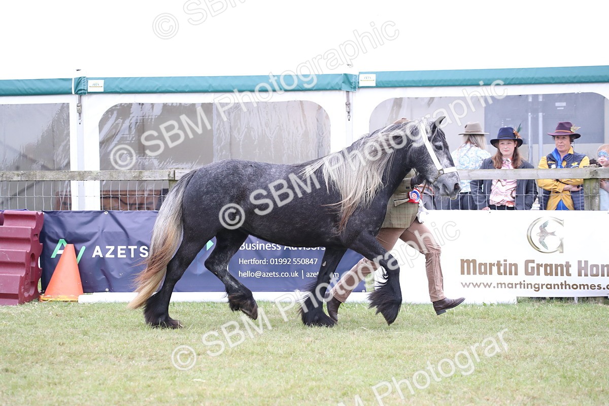 SBM_09796 - Ch 50 - Price Family Supreme In Hand