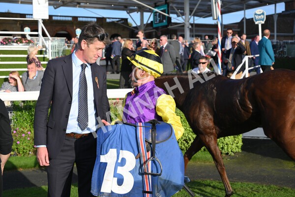 yr08102021r5-28 - Race 5 4.20pm Copper Knight - Winning Most Horse At York Handicap
