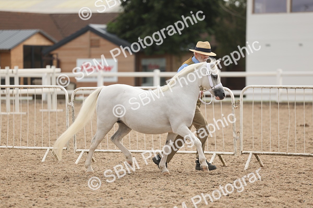 SBM_03149 - Class 16 - IH M&M Wildcard