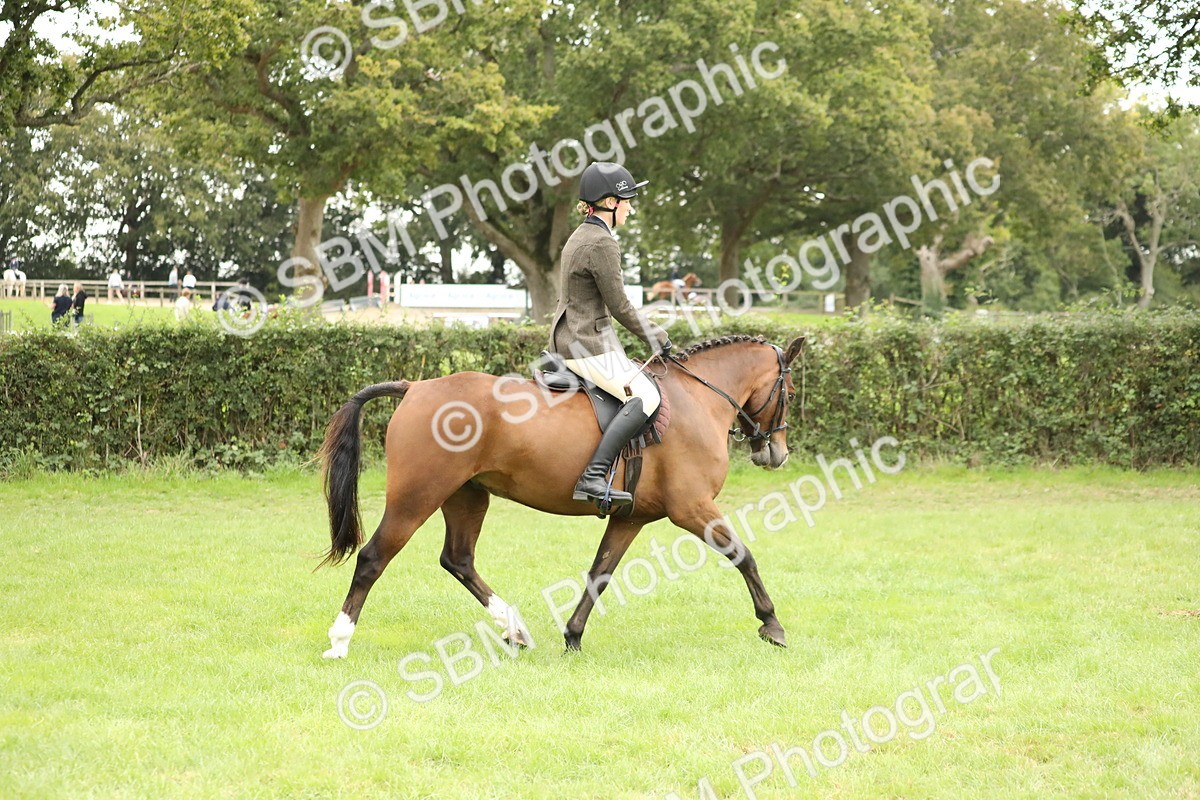 SBM_73685 - S41 - Ridden Equitation (Best Rider)