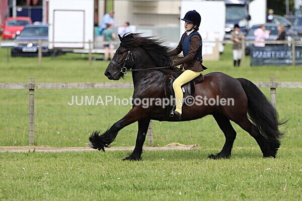 IMG_3270 - Working Hunter