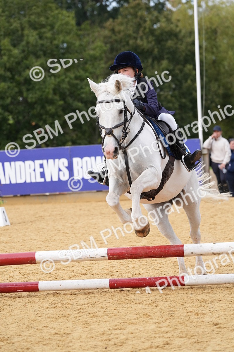 SBM_70659 - J3 - Mini Tour Junior Pony 40cm Championship