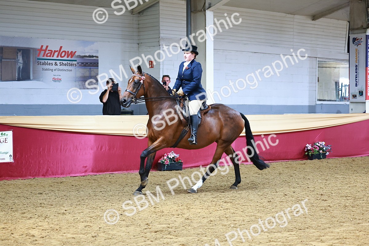 SBM_23358 - class 906 - Supreme Final - Ridden Pre Vet