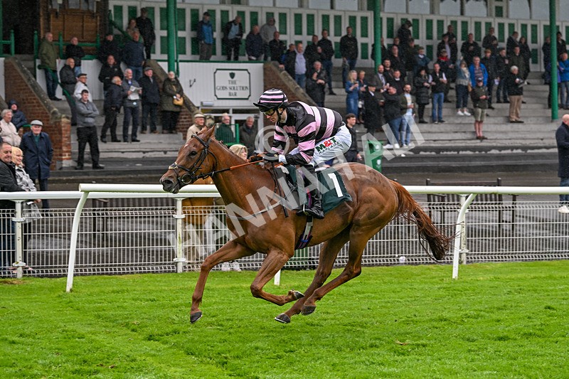 230524-Race 6-Cori Glory-1946 - Race 6