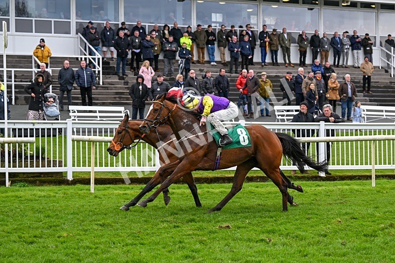  - Race 5