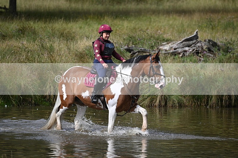 WJ7_0973 - Time at Water 10:09 to 10:47