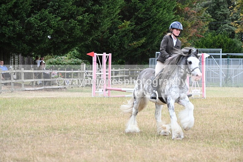WJ6_9646 - Class 12 Minimus Jumping 45cm