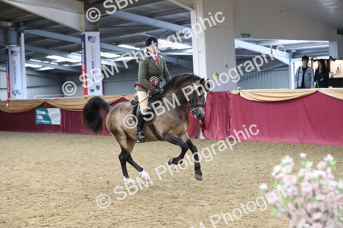 SBM_16551 - Class 502 M&M Ridden Supreme Final