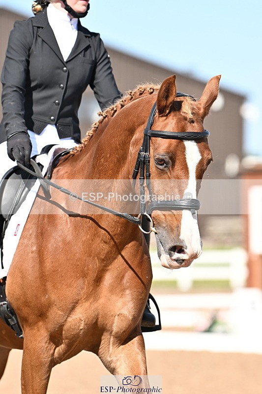 240816A-160858-06088 - 134-Mia.Marshall-Vino