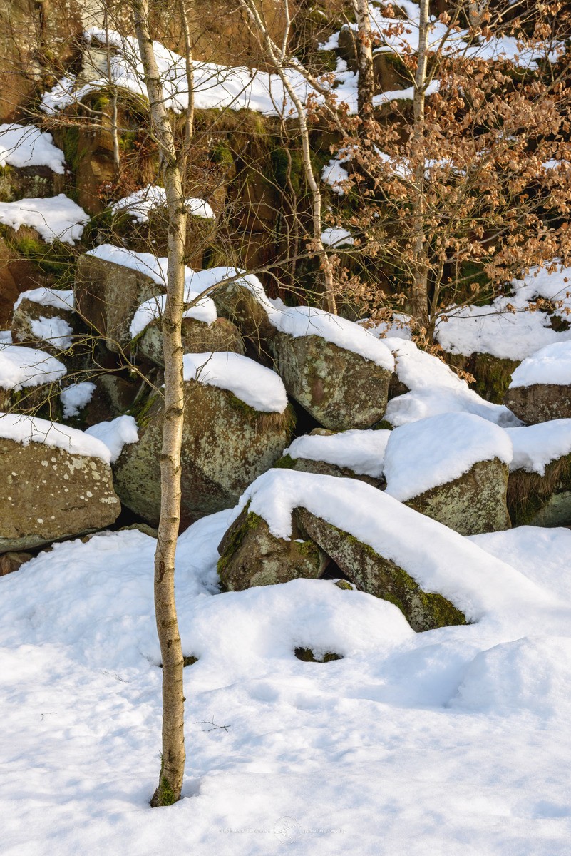 White Gold - WINTER