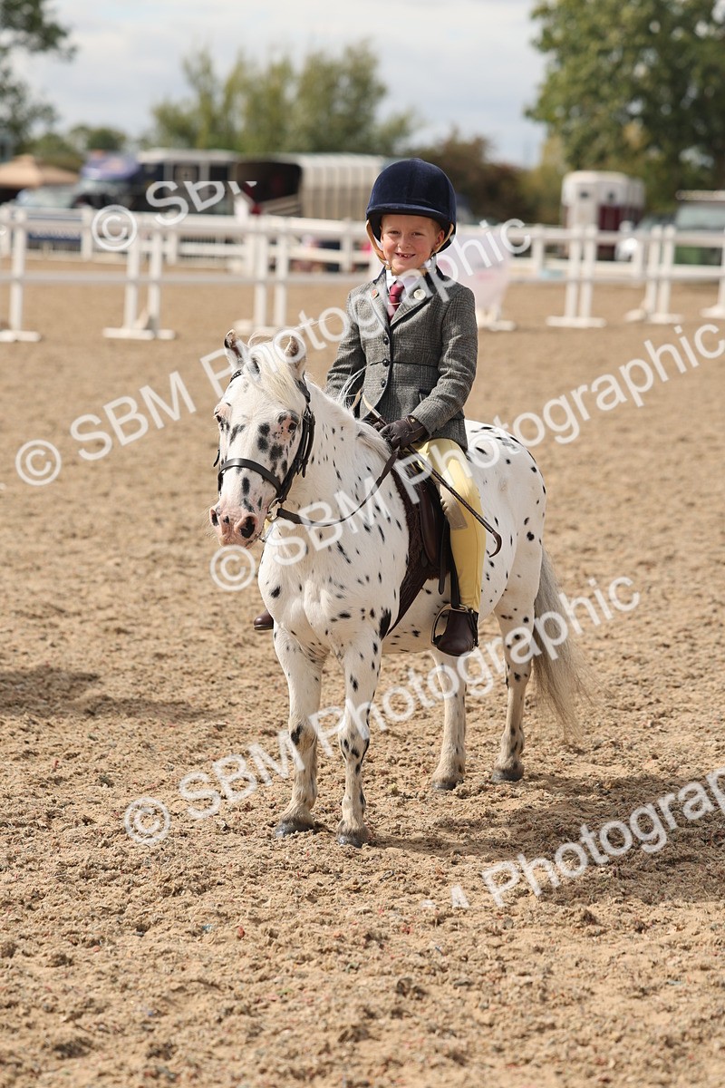 SBM_15896 - Class 310 - First Ridden Pony
