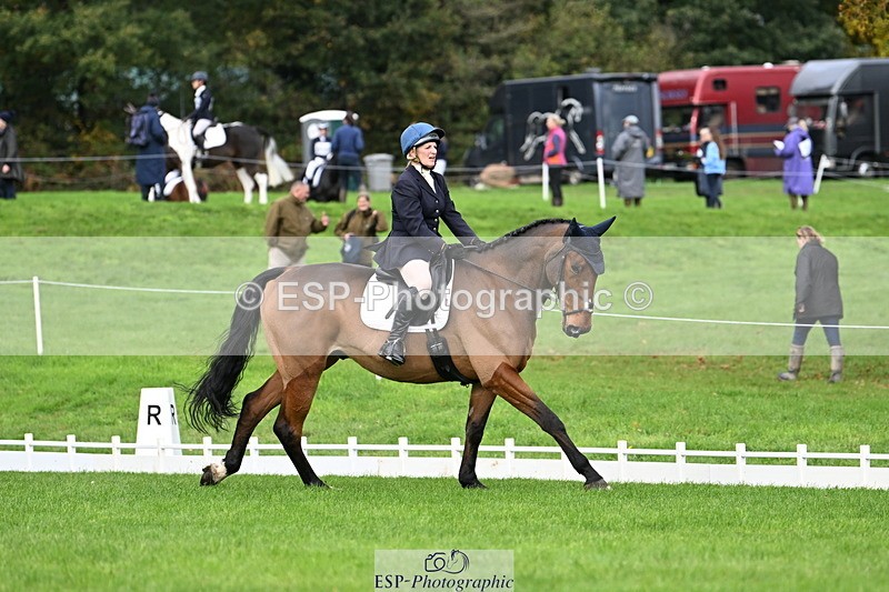 251023A-113750-03628 - G-514-Carolyn.Price With Trot Up