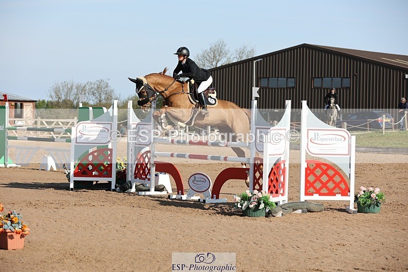 250427-085639-14670 - Cls 28 Young Horse 5yr old