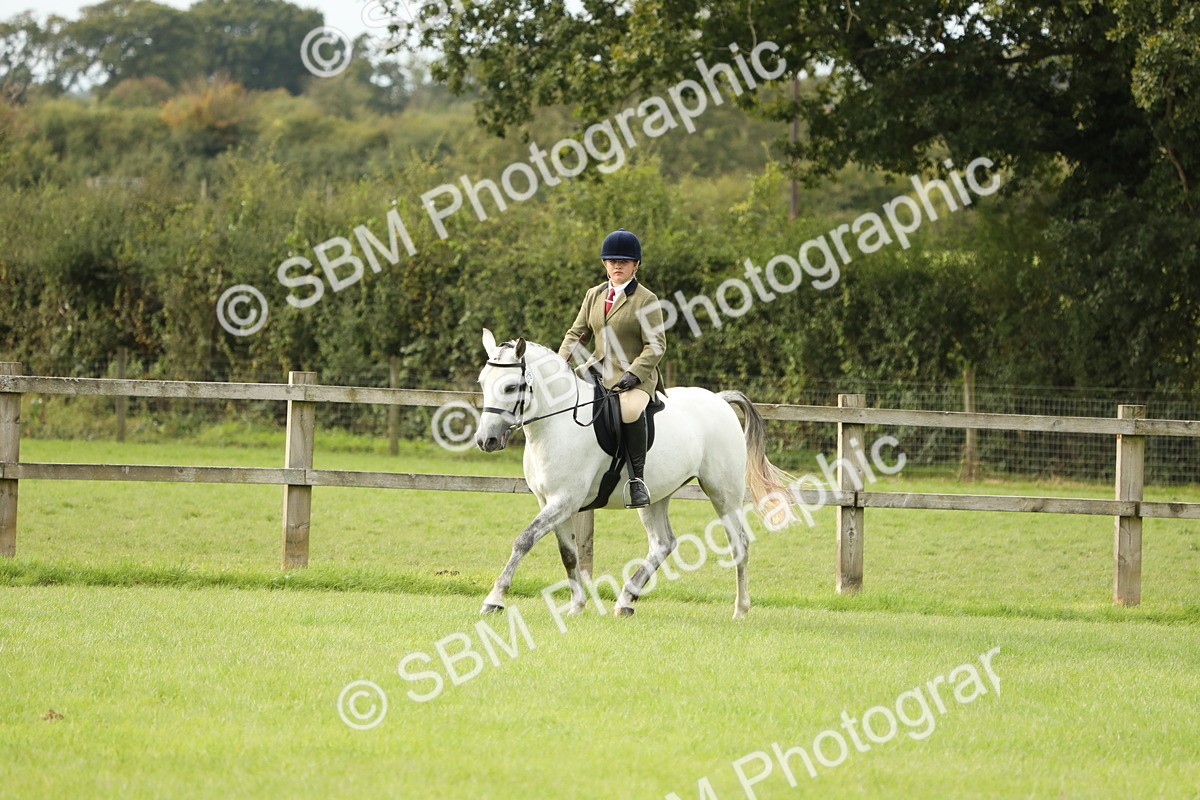 SBM_71530 - S41 - Ridden Equitation (Best Rider)