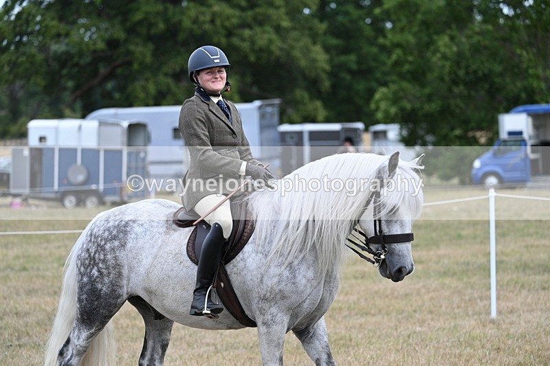 WJ7_5446 - Class 12 Ridden Cob