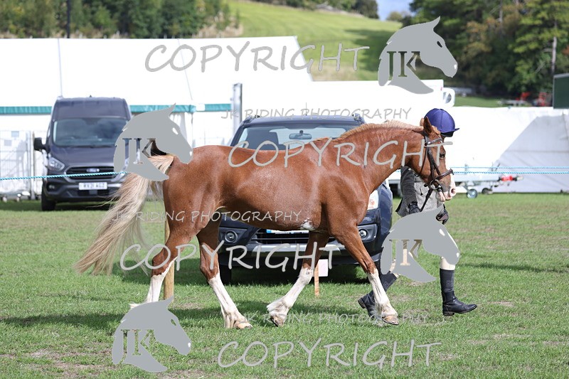 APP_2599 - Class 9 Veterans in hand