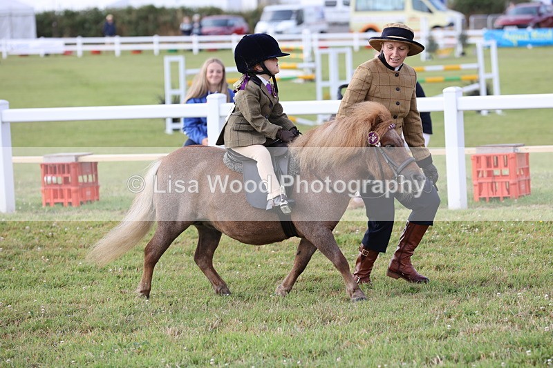JPP_0220 - Class 14: Cornish Combination Leading Rein