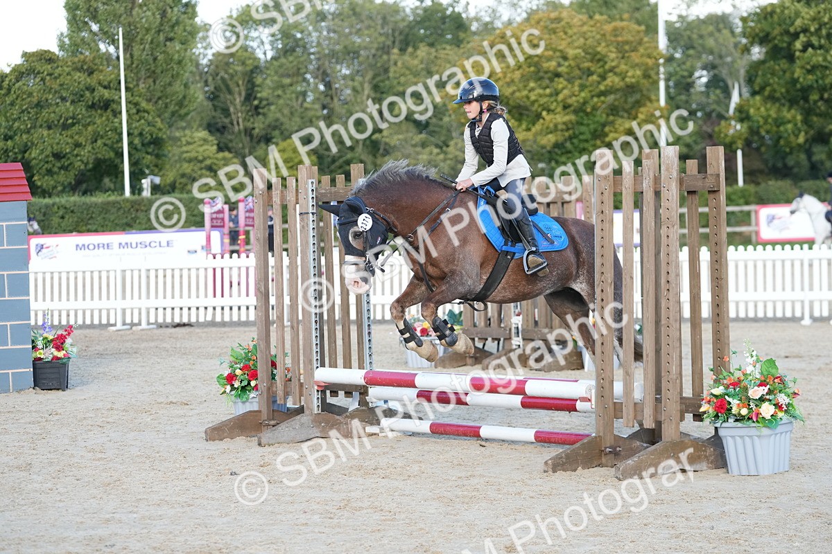 SBM_29049 - J43 - Horse & Hound Open 50cm