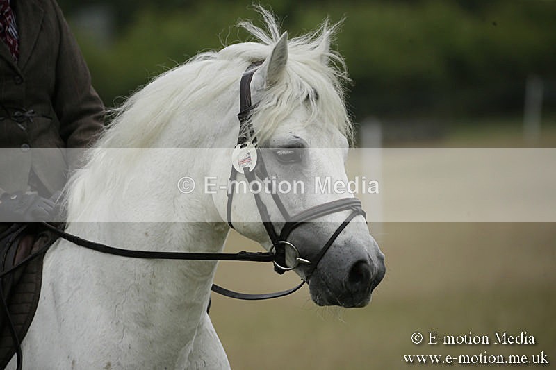 B230619-0107 - Bourne Valley Riding Club Summer Show 23/06/19
