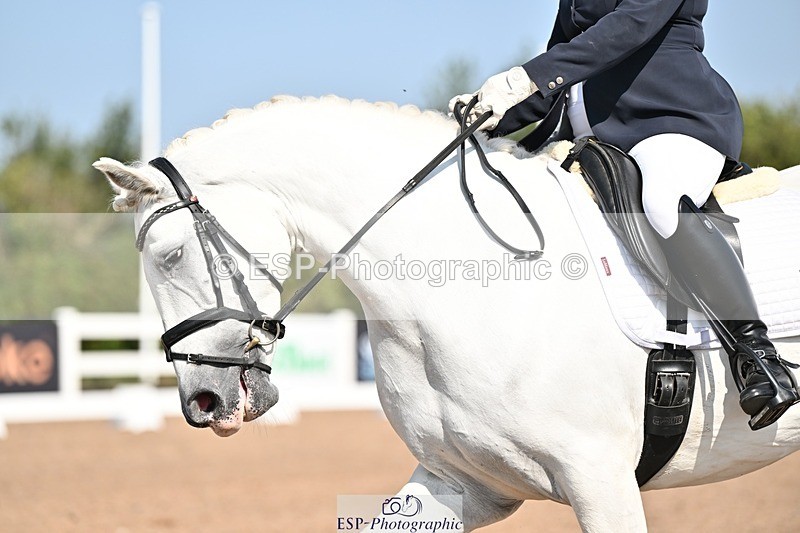 250816-104722-03203 - 111-Sonya.Fitch-PeytonDinnarthal.Buzzard