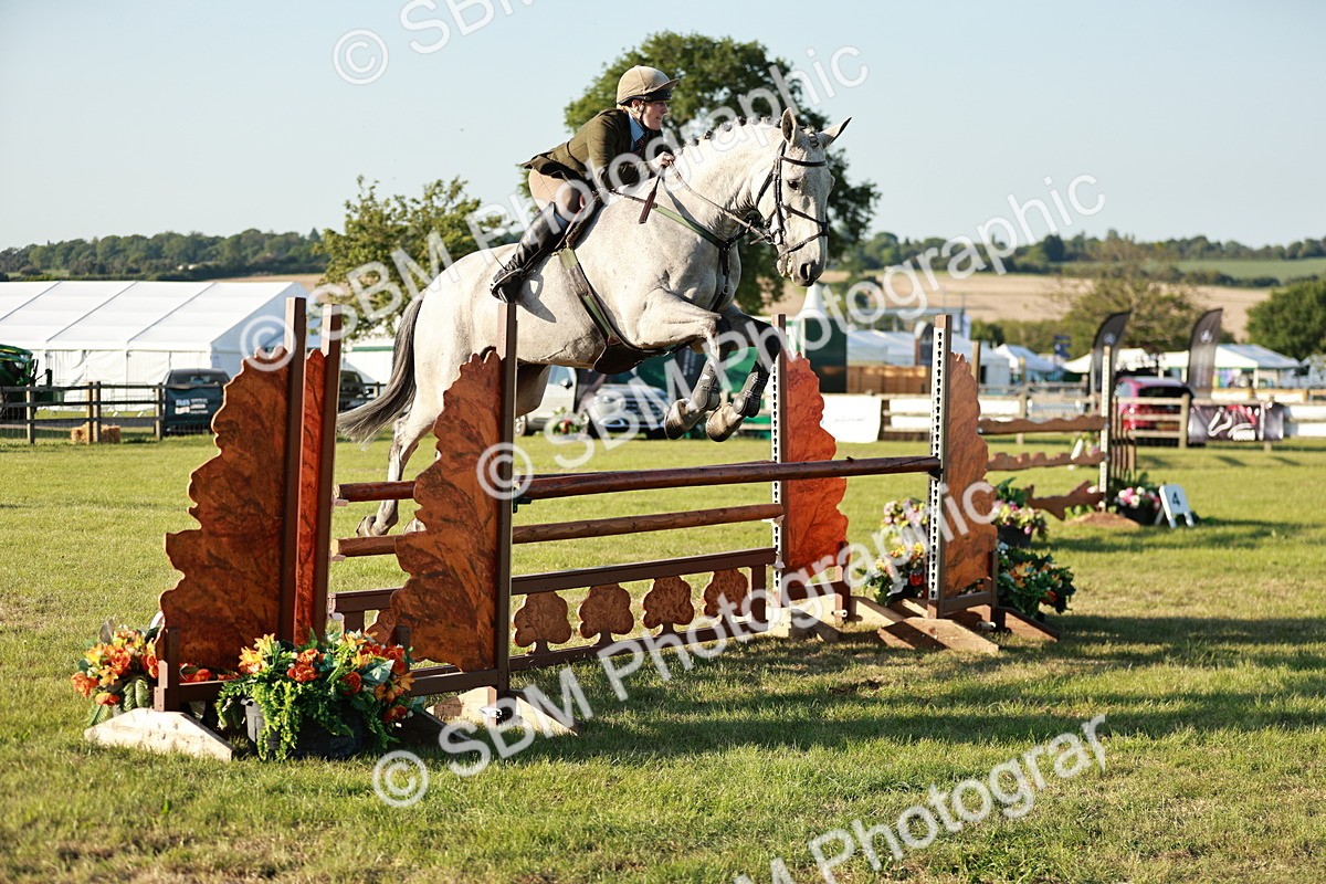 SBM_20413 - Class 117-119 - Sport Horse Working Hunter