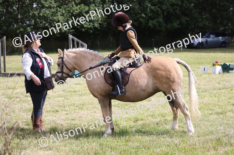 20260614-0470 - Class 20 - Beginners Working Hunter Pony