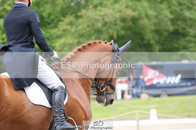 240523-105215-03425 - 215-RAMIRO_WANNABE-Finn_Healy