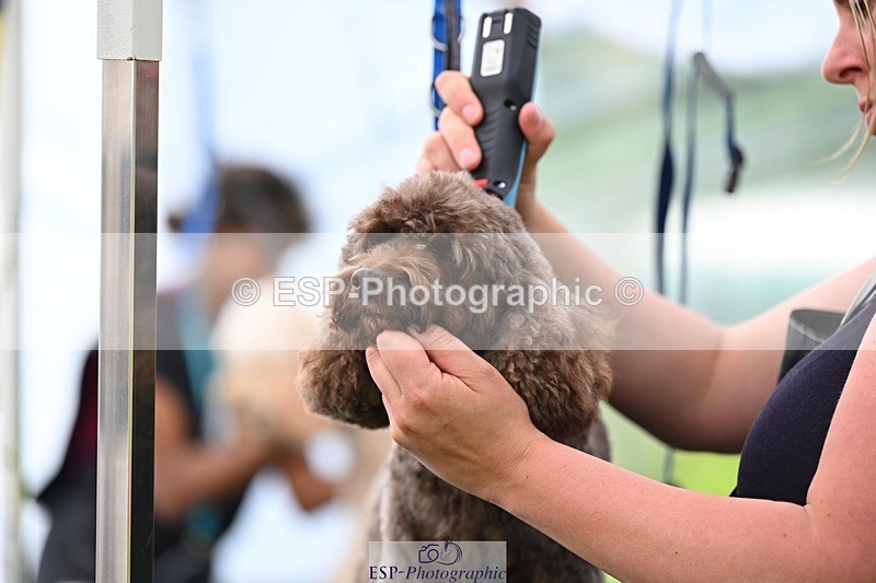240525-114747-12623 - Candid and Saturday Hobby Horse