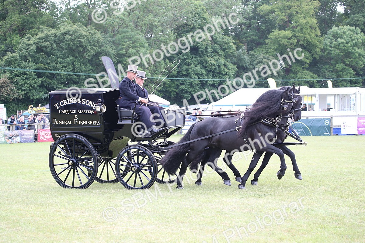 SBM_07036 - Class 16 - Light Trade