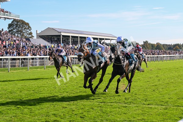 111025-Race 3-Laazm-8608 - Race 3 Coral 'Daily Reward Shaker' For Free Nursery Handicap at York