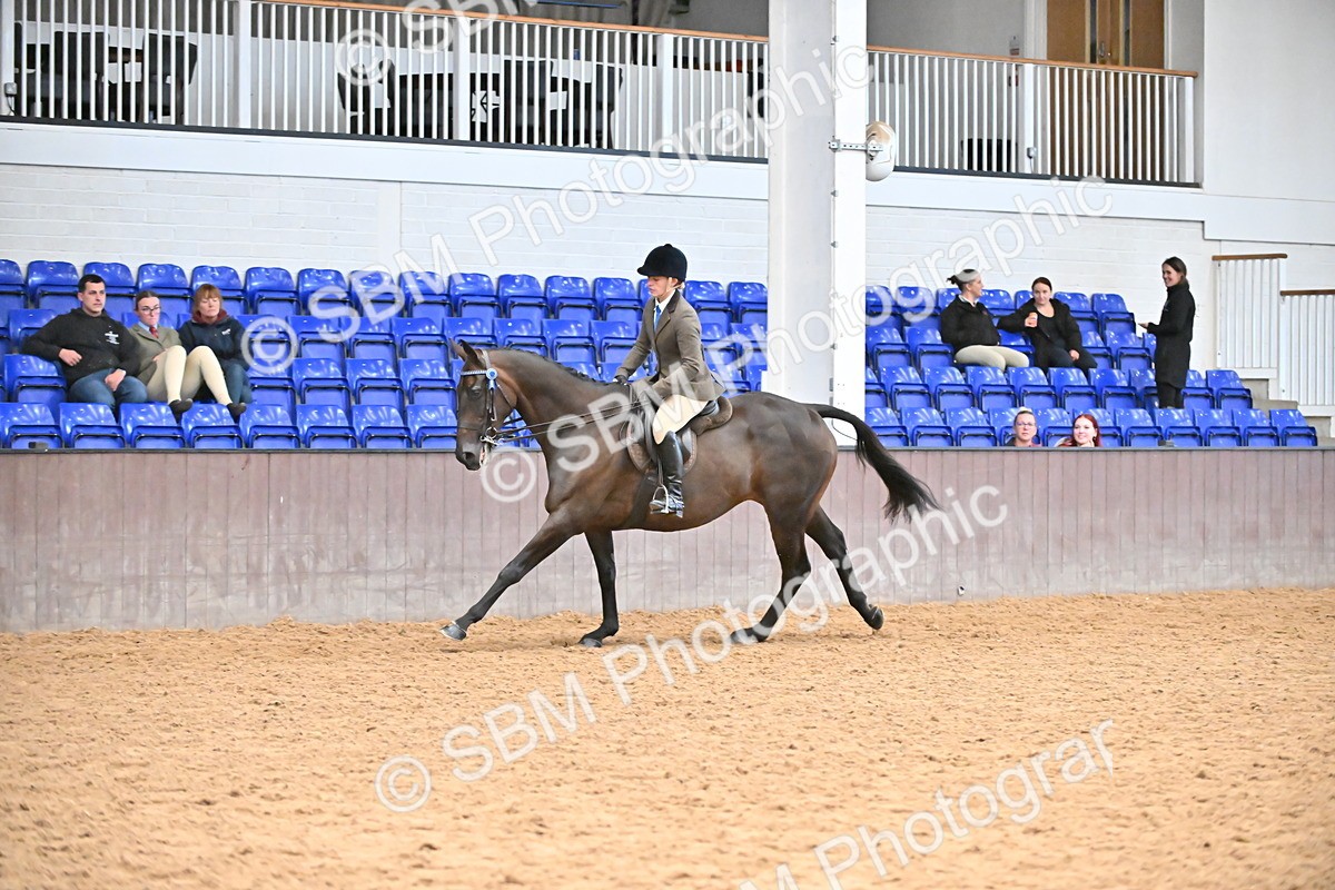 SBM_001921 - Class 25 - Tattersalls ROR Amateur Ridden