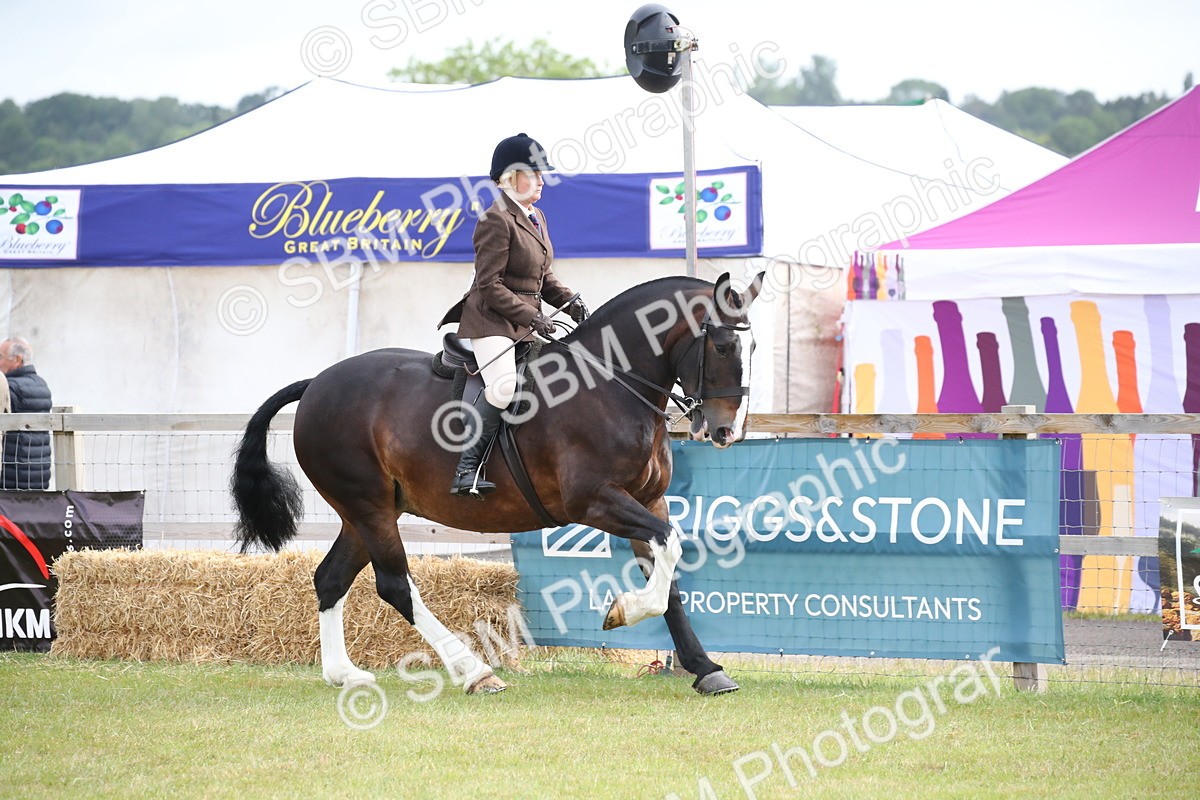 SBM_11222 - Class 92-93 - LIHS BSHA Rising Star Cobs