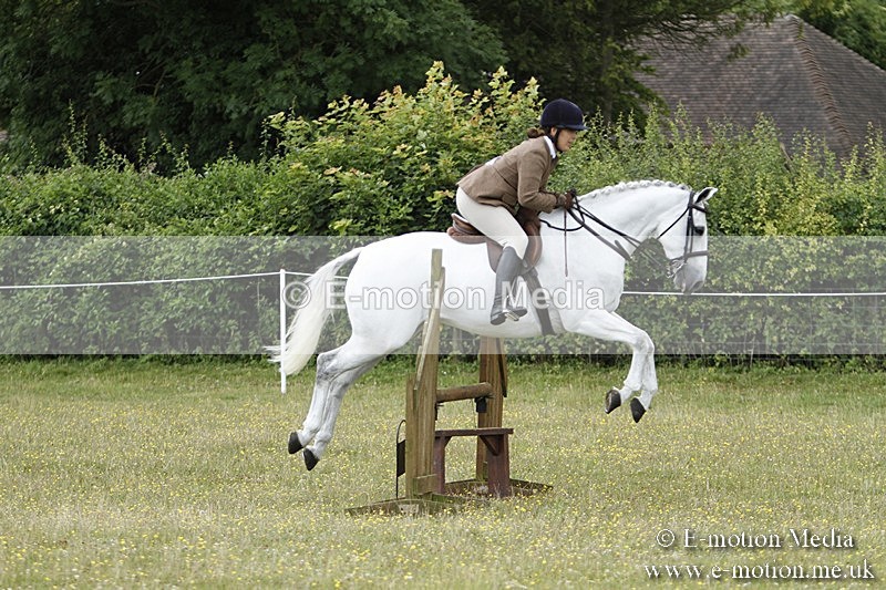 BVR160717-1737 - Ring 3 BVRC Show 16/07/17