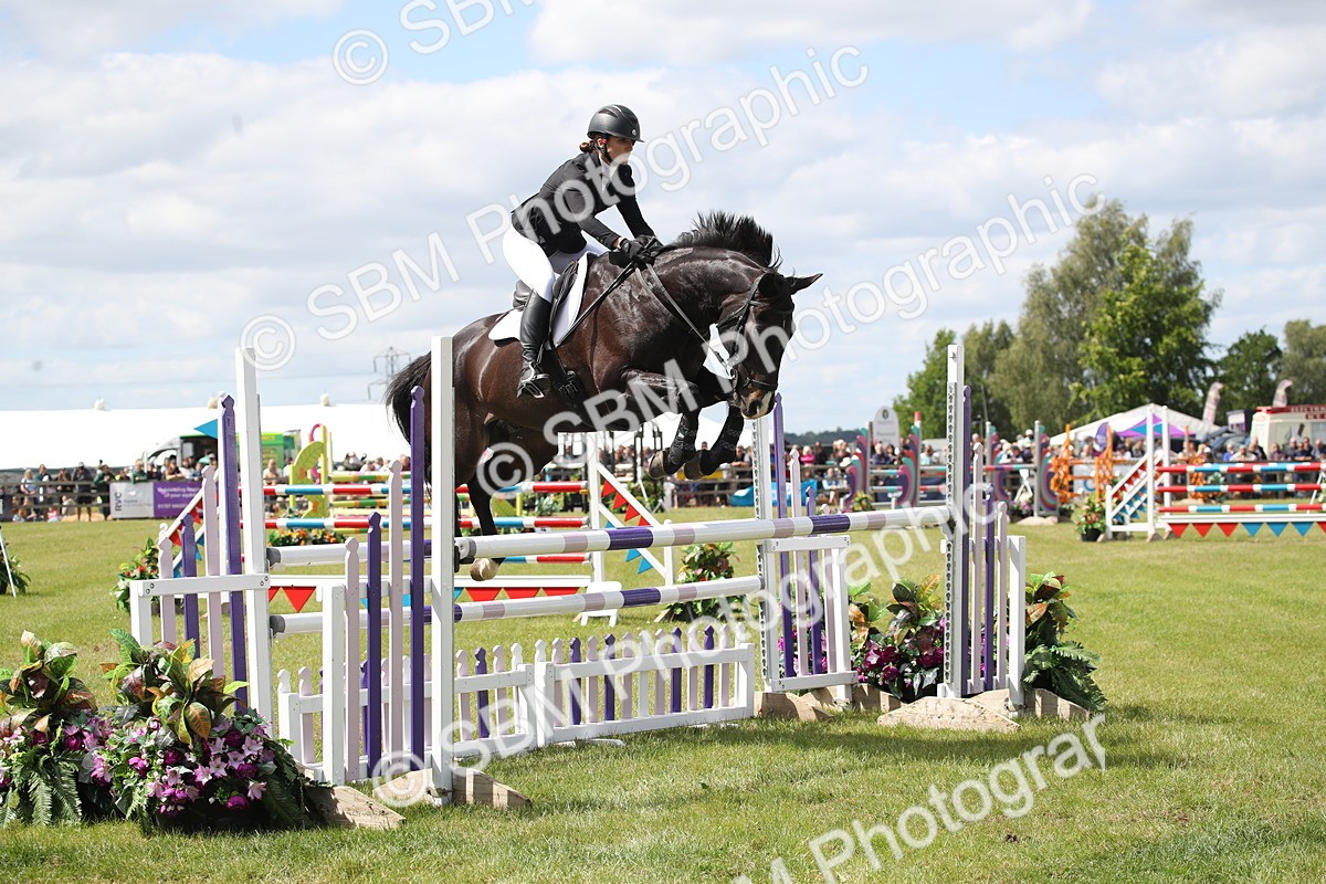 SBM_17428 - Class 208 - Senior Foxhunter 1.20m Open