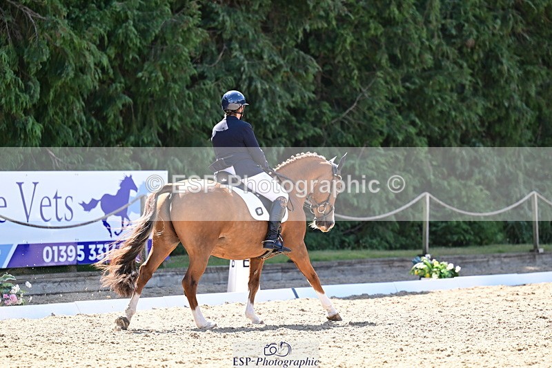 260731A-111806-00302 - Elementary Bronze 10.30 - Break