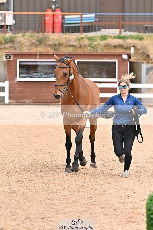 250716-144825-01413 - Trot Up 2.30 to 3.30