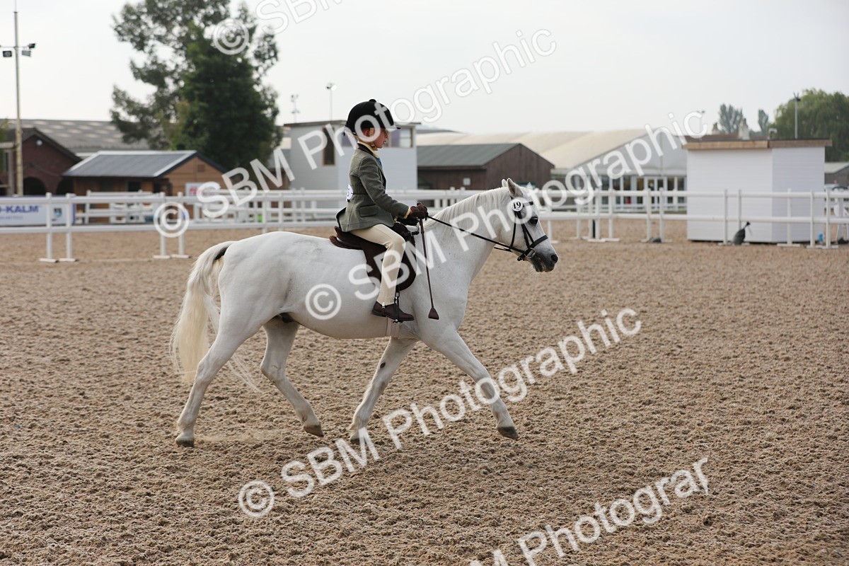 SBM_09653 - Class 301 Ridden M&M -Small Breeds