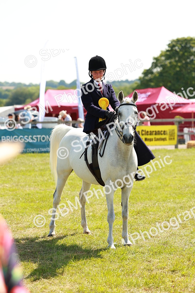 SBM_13411 - Class 70-71 - Side Saddle
