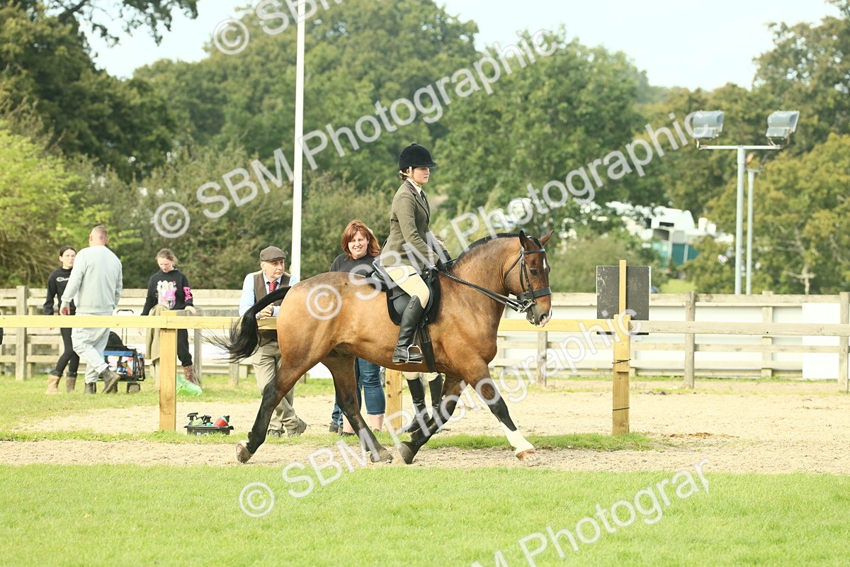 SBM_68259 - S58 - Mini Show Cob Ridden