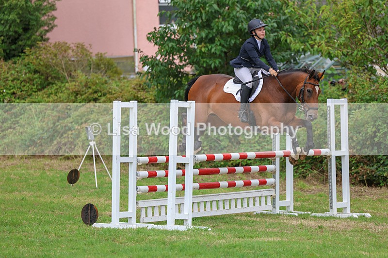3E7A8201 - Class 7: Senior Newcomers/1.10m open