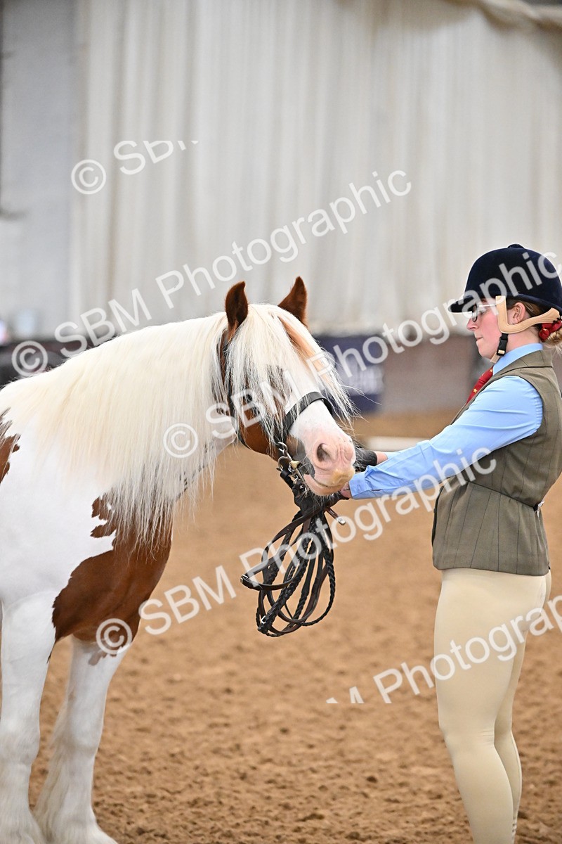 SBM_000032 - Class 1 - In Hand Cob