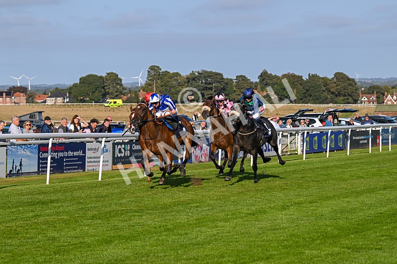 180924-Race 7-Fox Avatar-5226 - Race 7