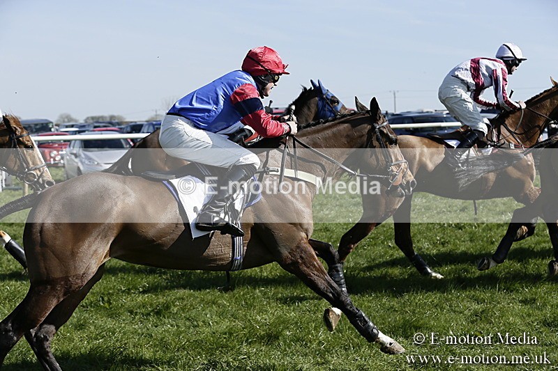 PtP 260317 209 - Mendip Farmers Point-to-Point Ston Easton 26/03/17