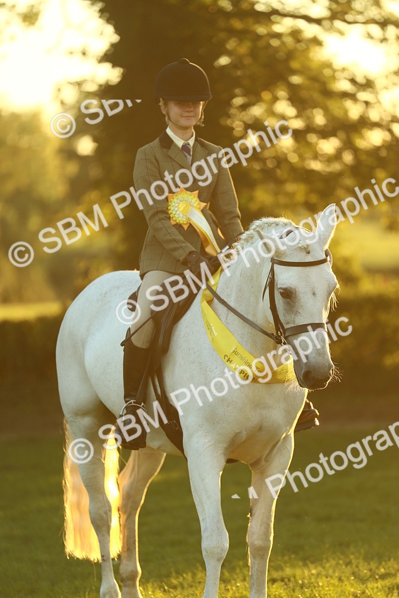 SBM_56645 - Fun & Versatile Supreme Championship