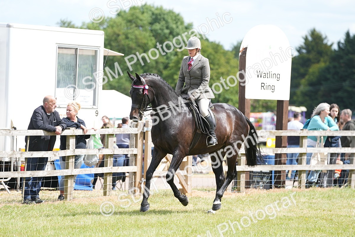 SBM_16176 - Class 105-106 - RIHS Riding Horses