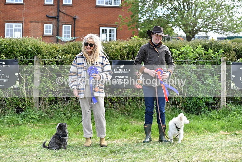 WJ5_0867 - Best in Show Championship