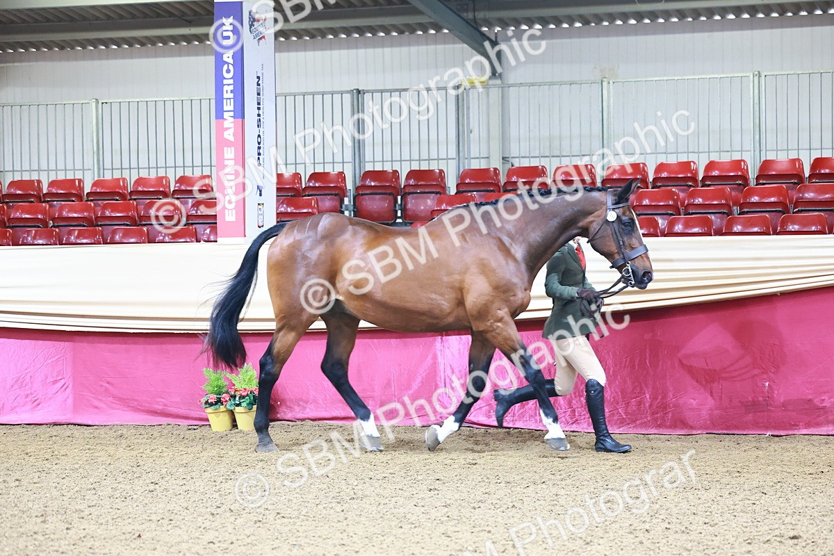 SBM_21645 - Class 901 - Supreme Final - IH  Diamond